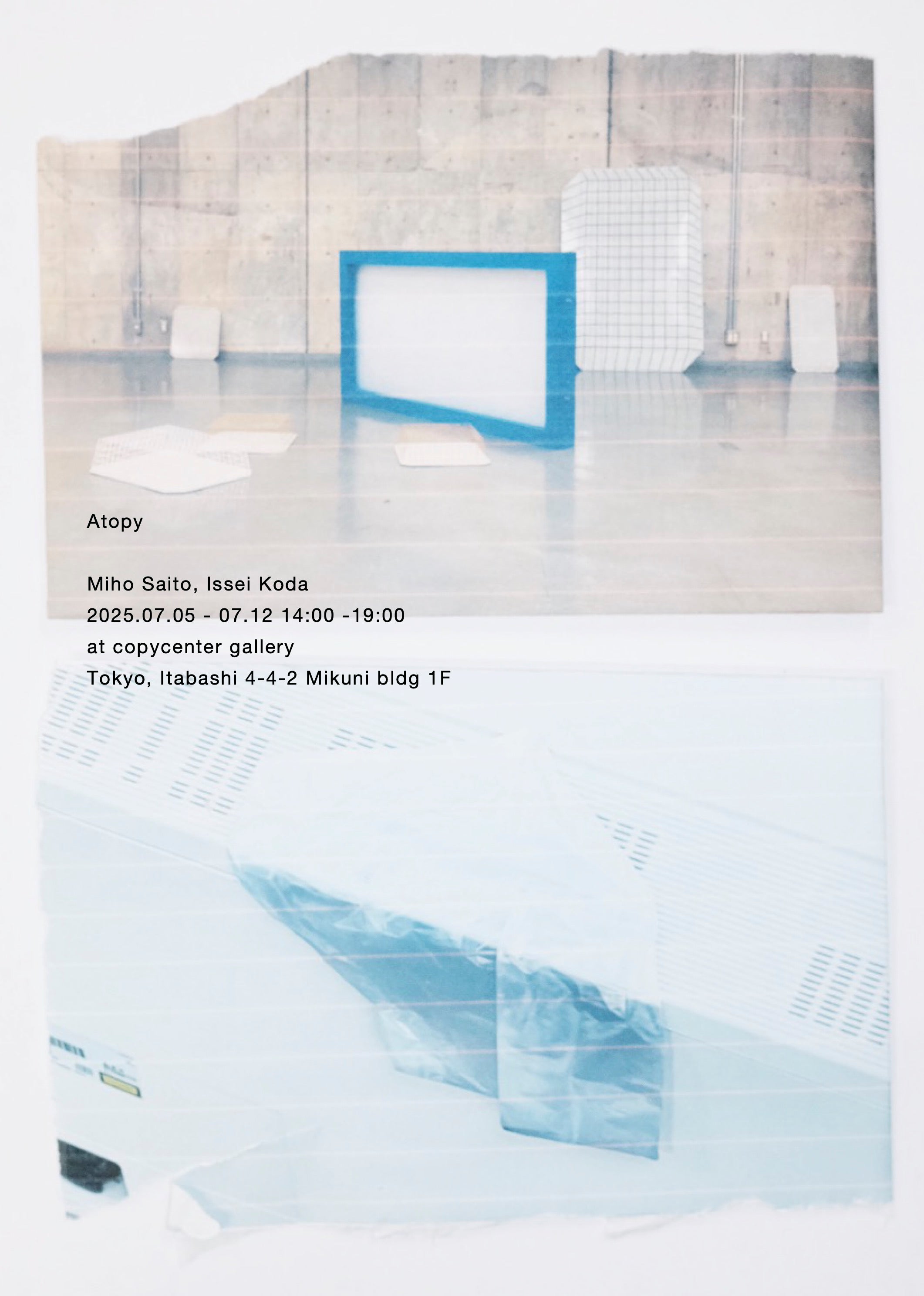 Atopy Panel Atopy – COPYCENTERGALLERY
